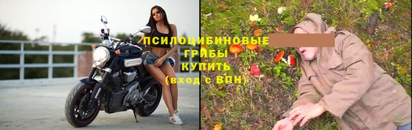 ПСИЛОЦИБИНОВЫЕ ГРИБЫ Бронницы